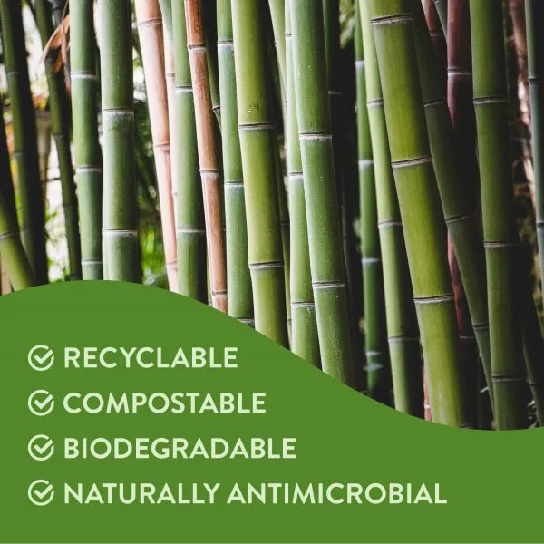lindo bamboo toothbrush