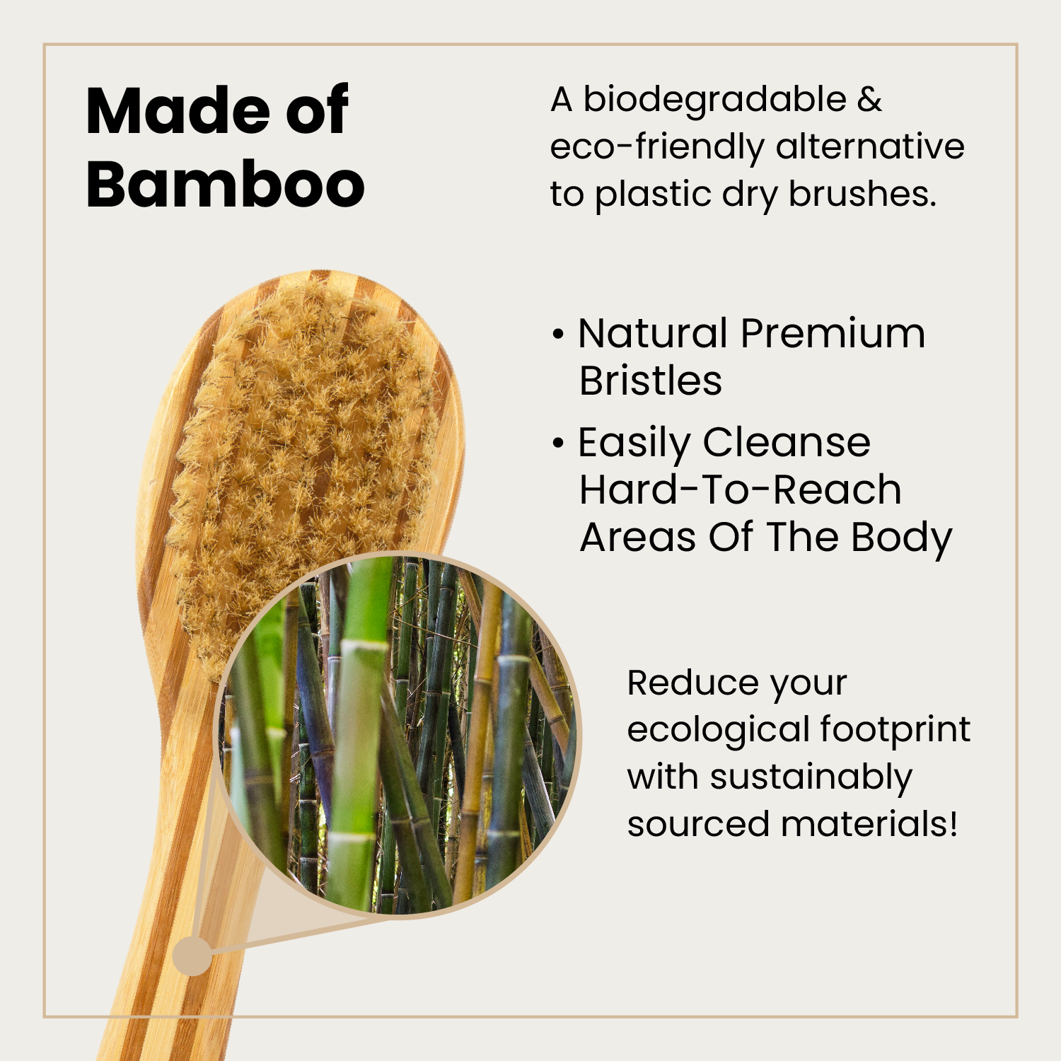 Dry Brush (Long Handle) Web Listing Images_Extra 2