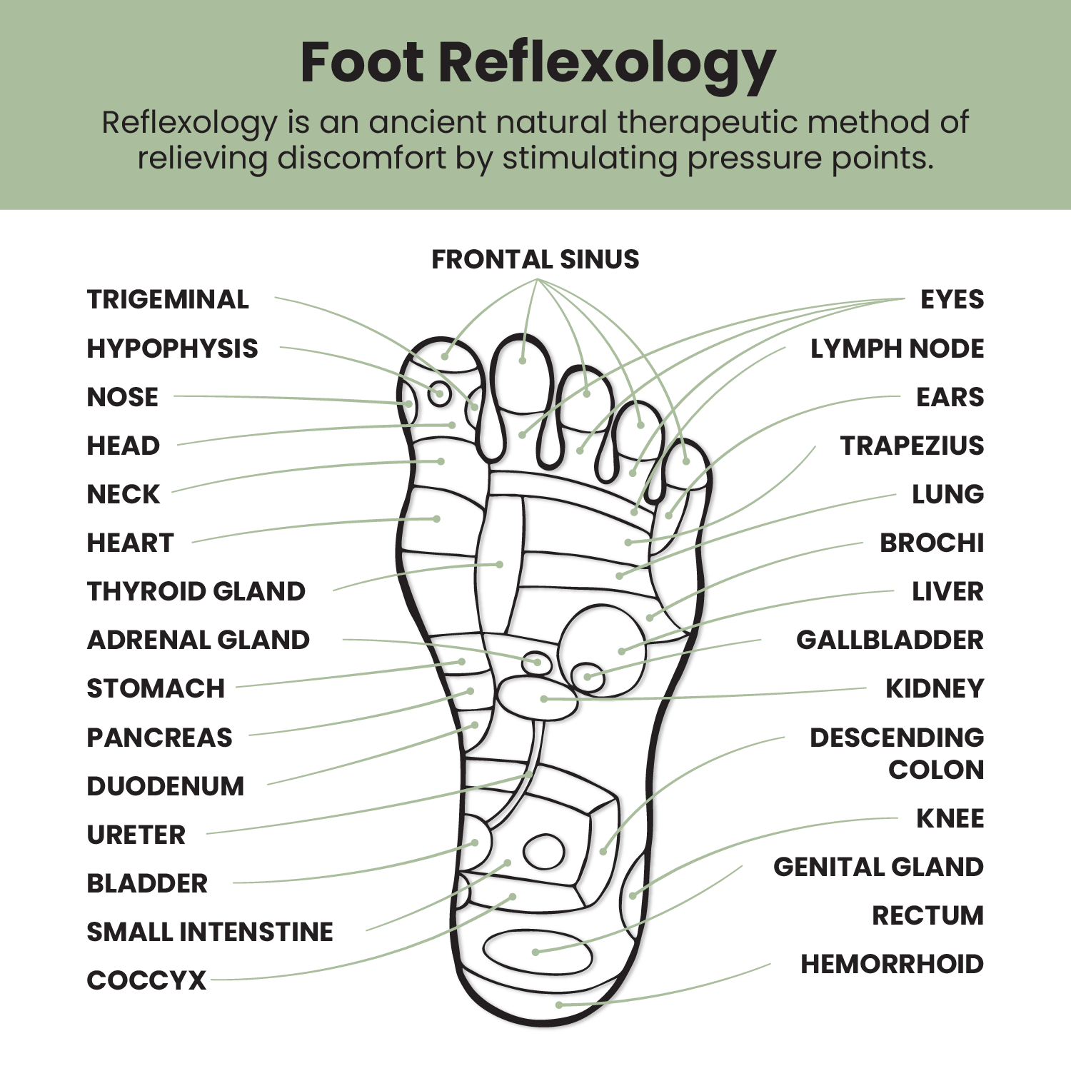 Natural Wood Foot Massager Web Lisiting Images_Extra 2